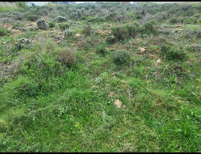 920M² VACANT LAND FOR SALE IN DANA BAY